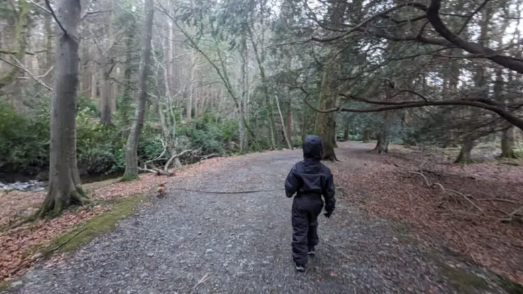 Child Walking Dog Through Tollymore Forest Park