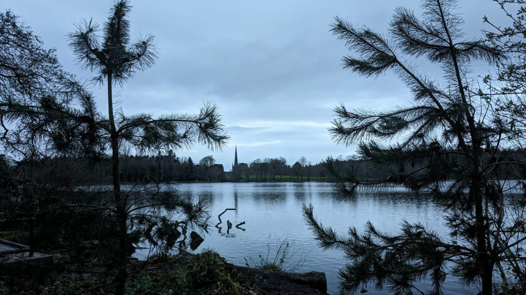 Forest and Lake Views