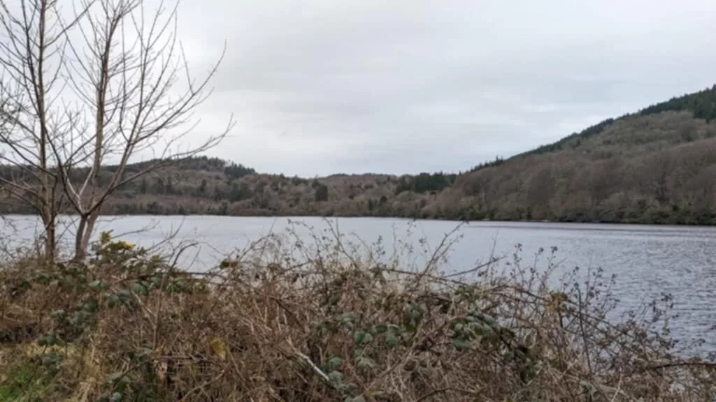 Lake at Castlewellan Forest park