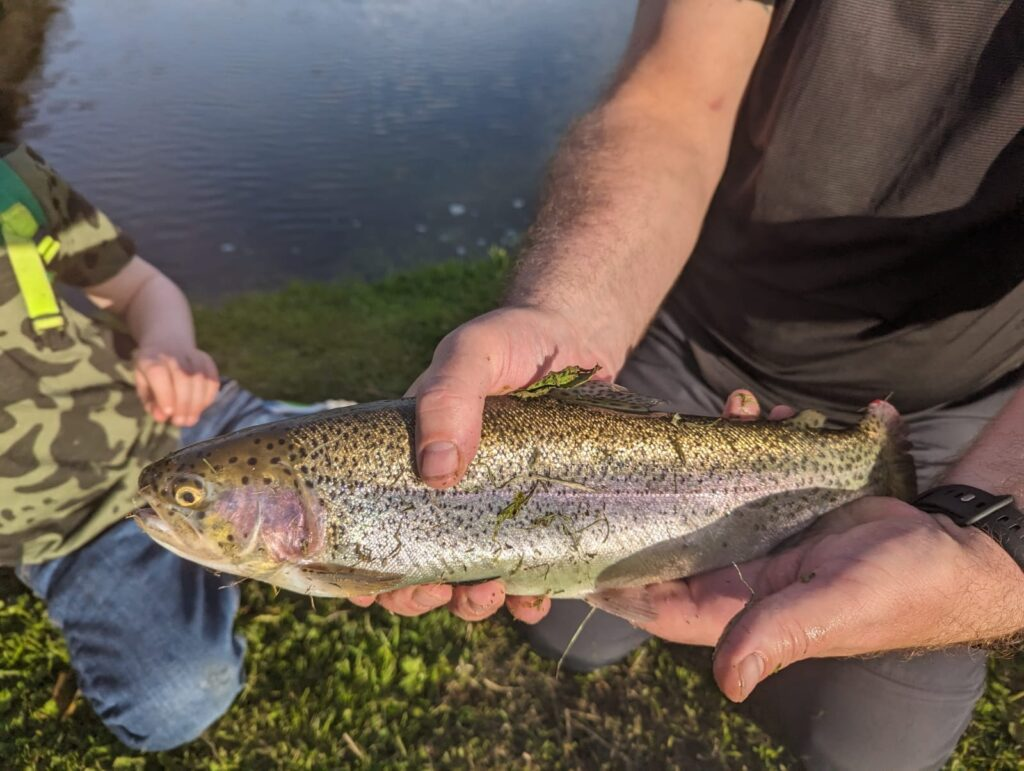 The Ultimate UK Guide to Fly Fishing: Benefits, How-To, and Types of Fly Fishing