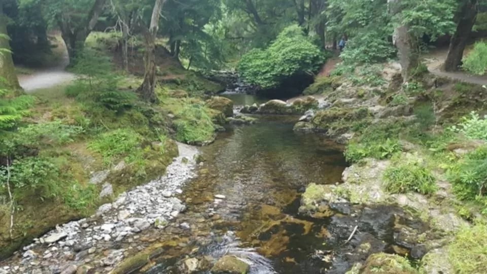 Tollymore Forest Park River