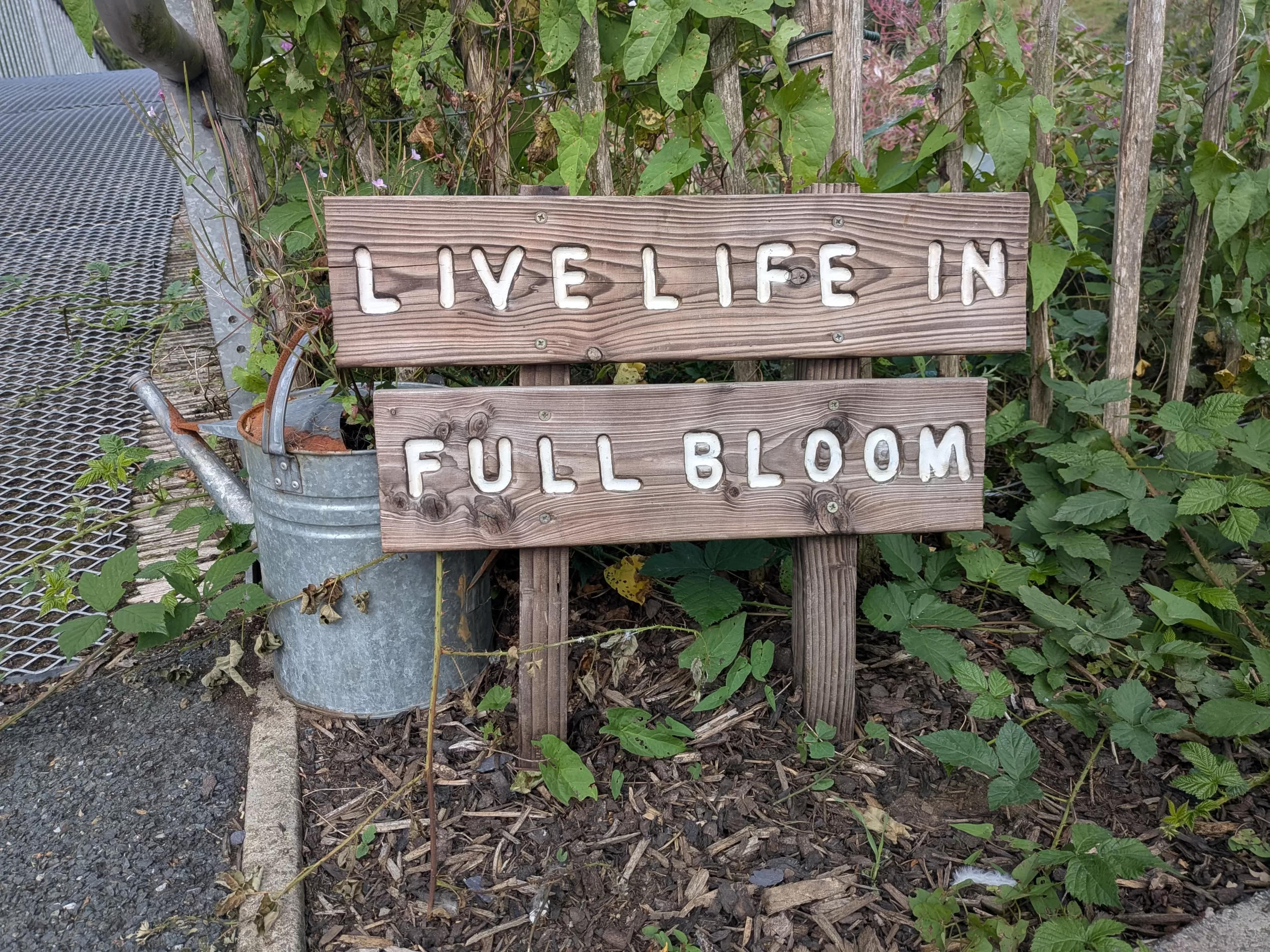 The Healing Power of Nature