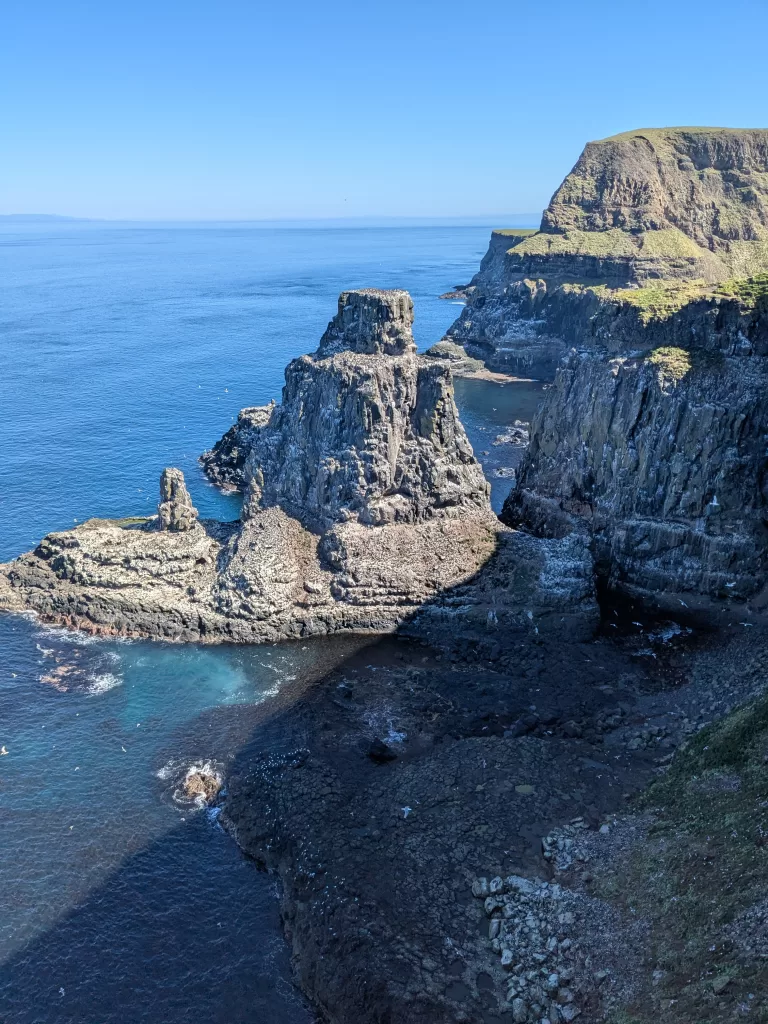 Seabirds Gather on the cliffs below to nest