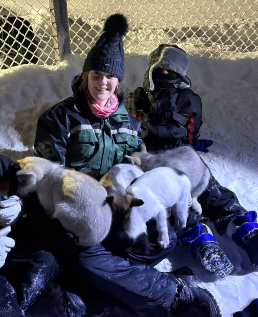 Davvi Artic Huskies Puppy Encounter