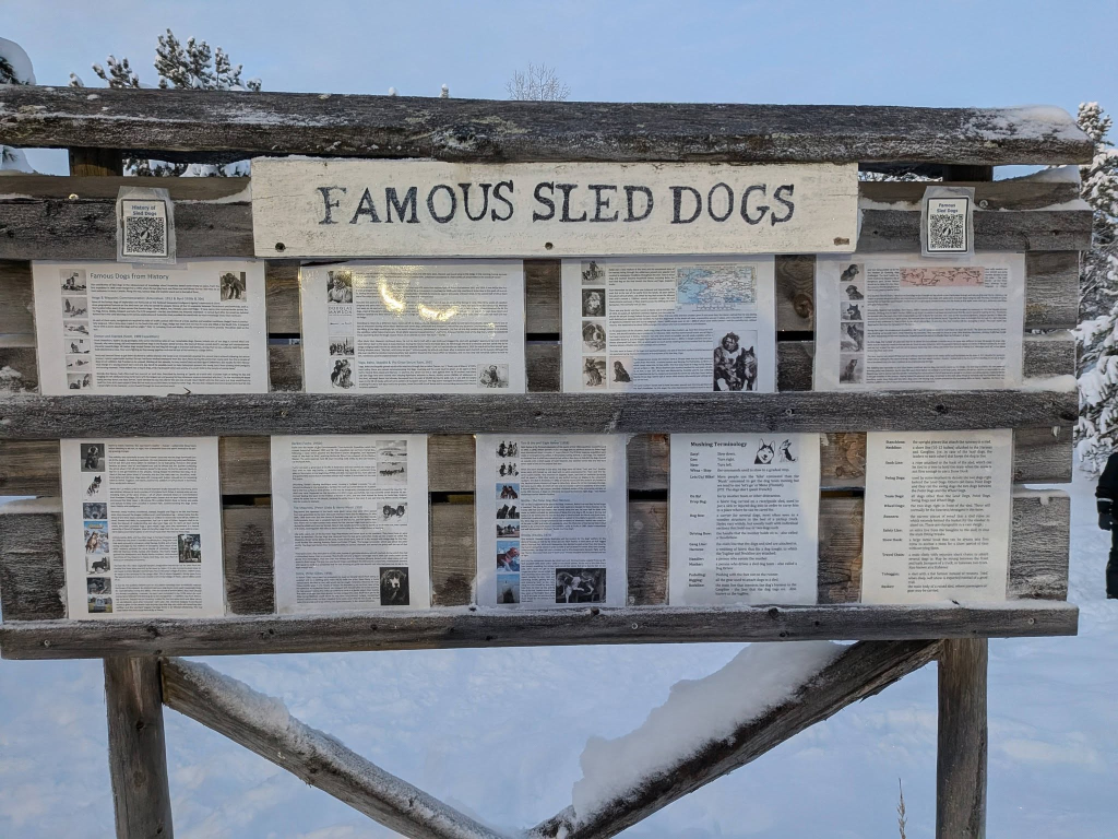Hetta Huskies Famous Sled Dogs