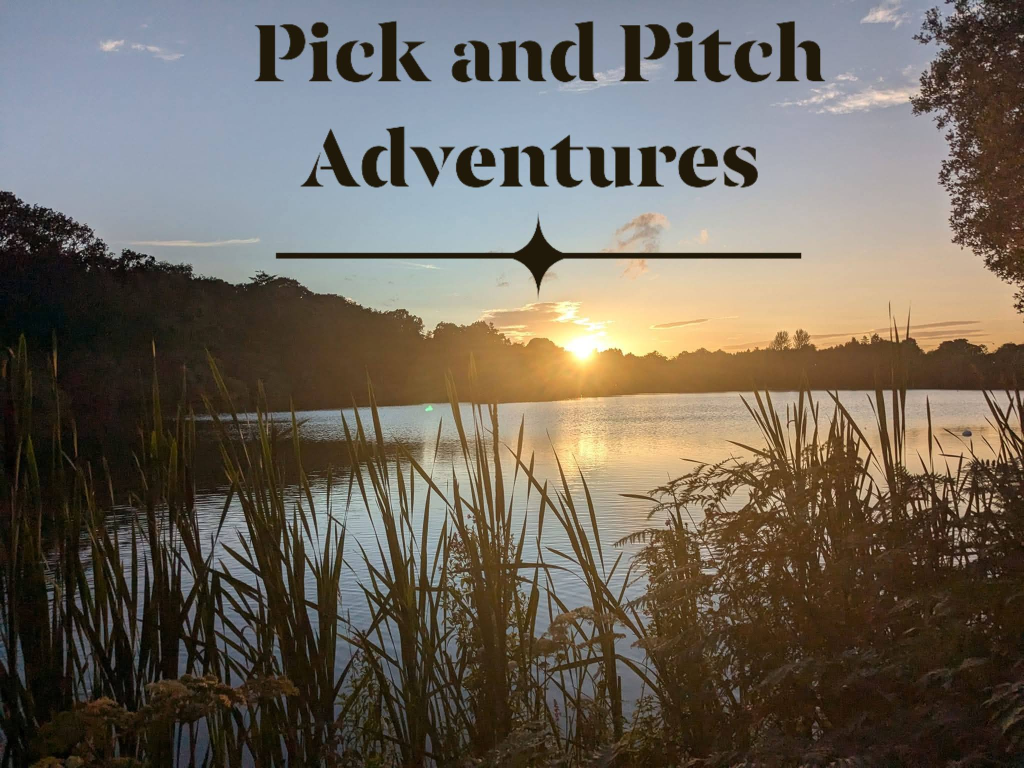 Why Nature Walks Are So Powerful for Mental Wellbeing